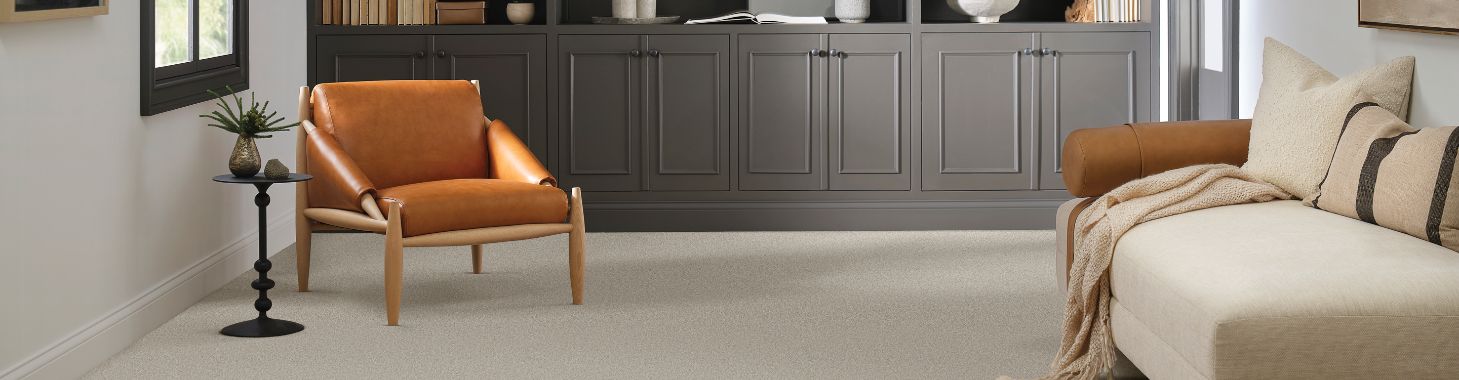 beige carpet in living room from from Vertical Connection in Columbia, MD that serves Maryland residents 