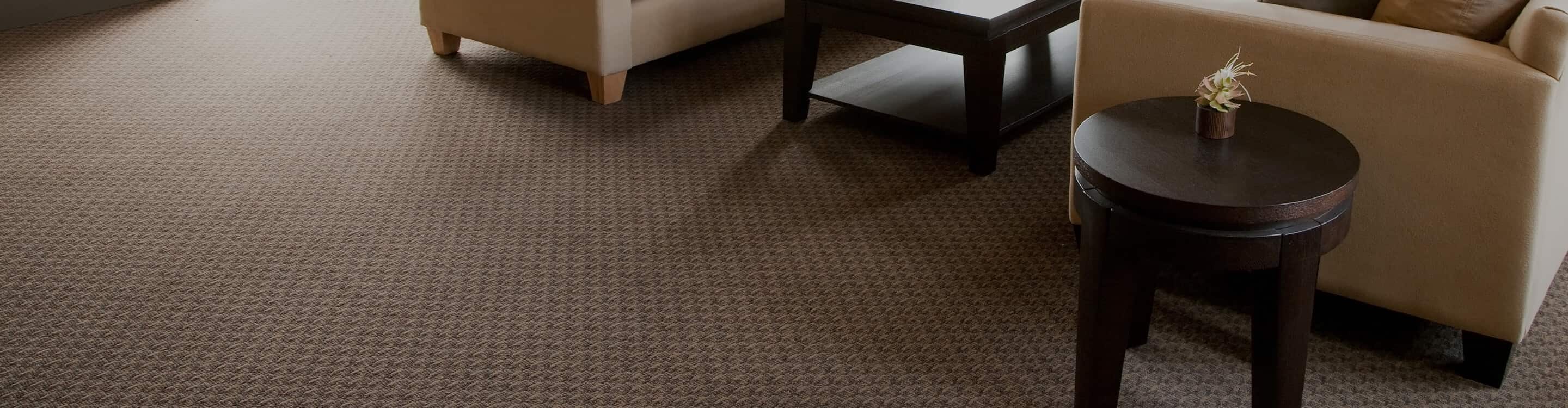 Living room with carpeting