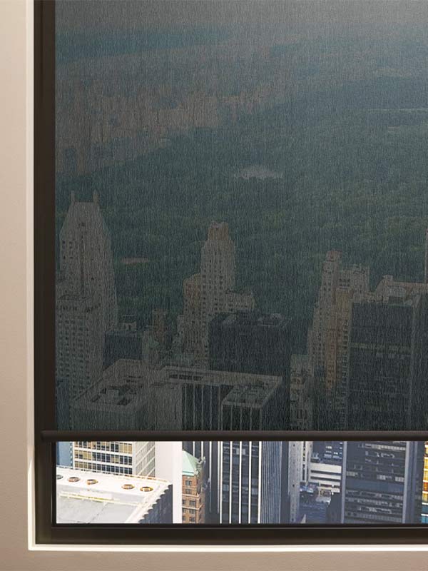 Designer Screen Shades Closeup